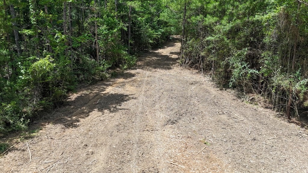 Small Hunting Tract FOR SALE in Amite County, MS
