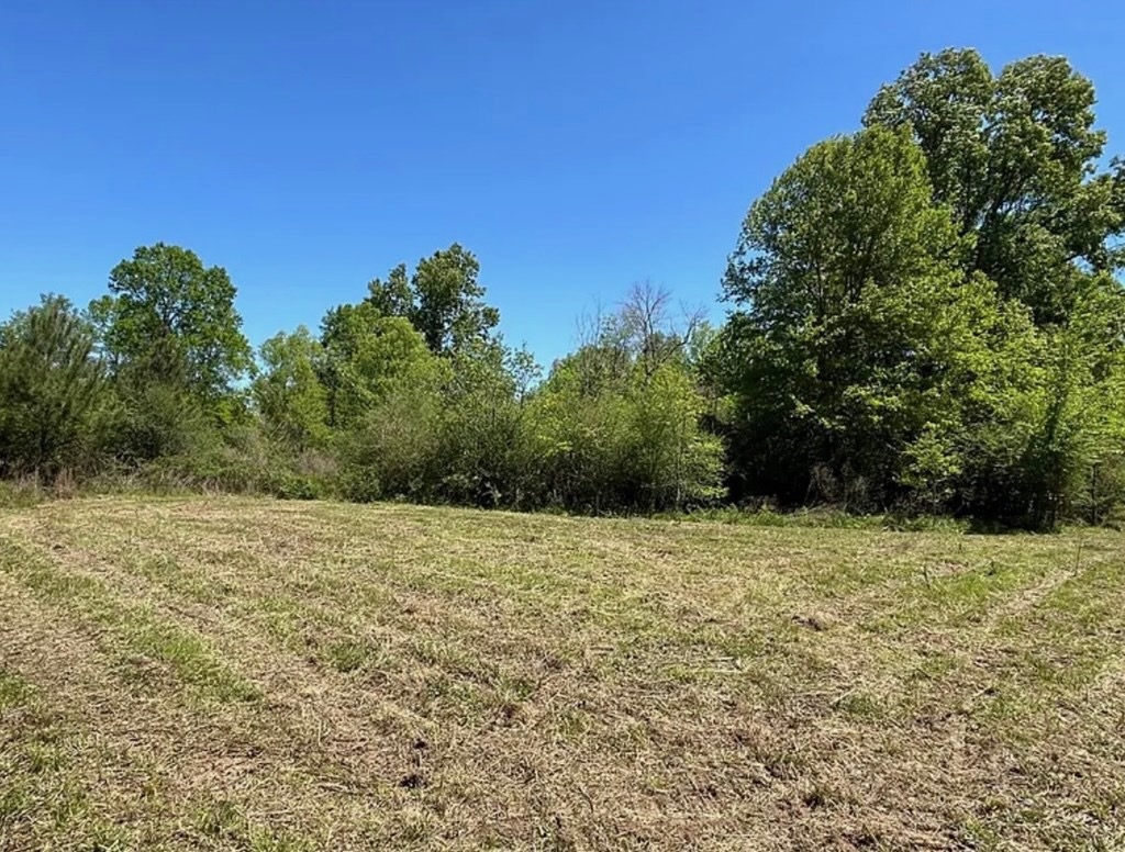 Hunting Land for Sale Near Gloster, Mississippi