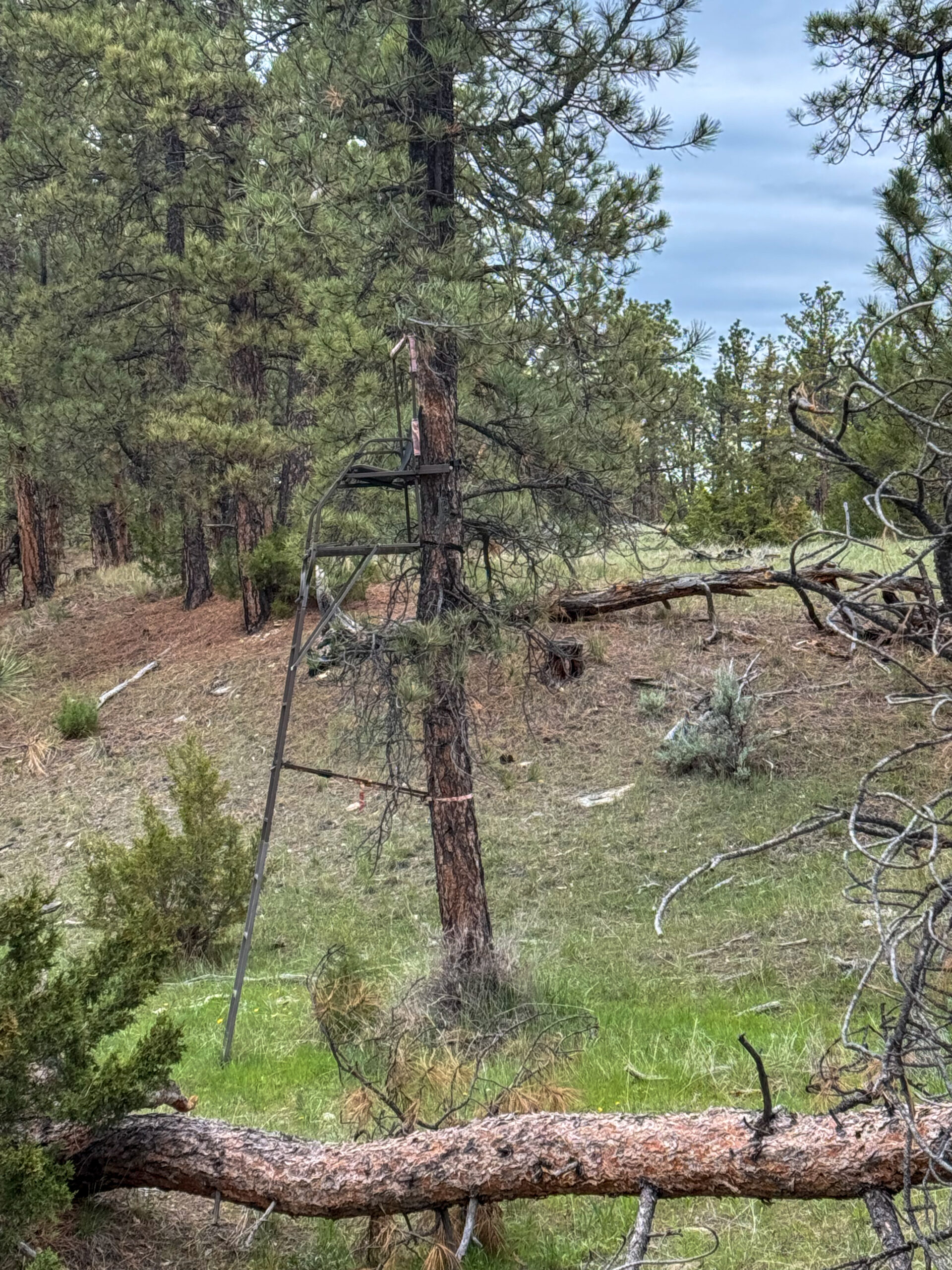 Windancer Ranch | | Custer, Montana