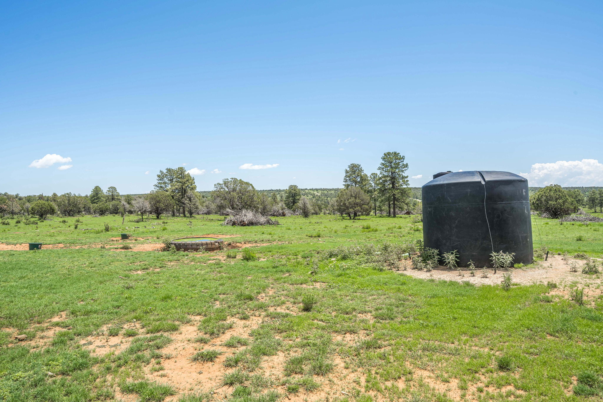 Cattle & Hunting Ranch for Sale in Weed, NM