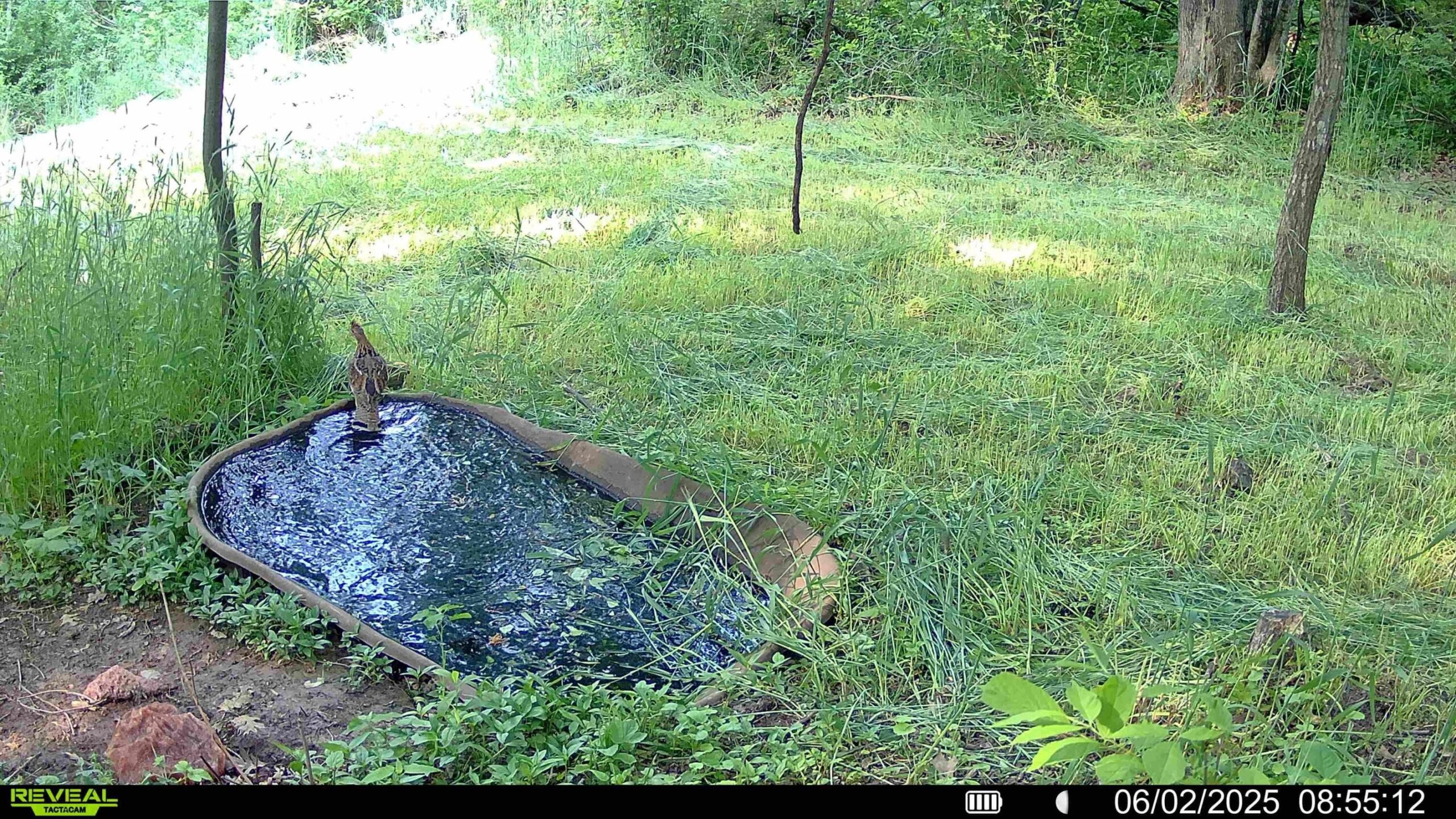 Twenty-One-Acre Hidden Gem in Vernon County WI