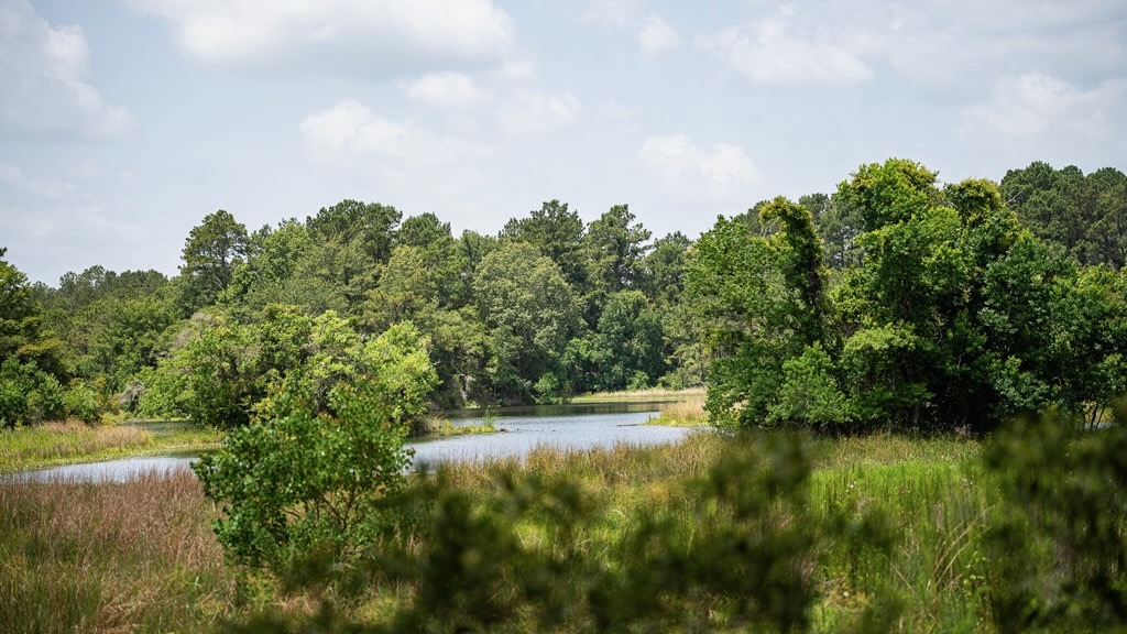 Clear Lake Land in East Feliciana Parish, Louisiana