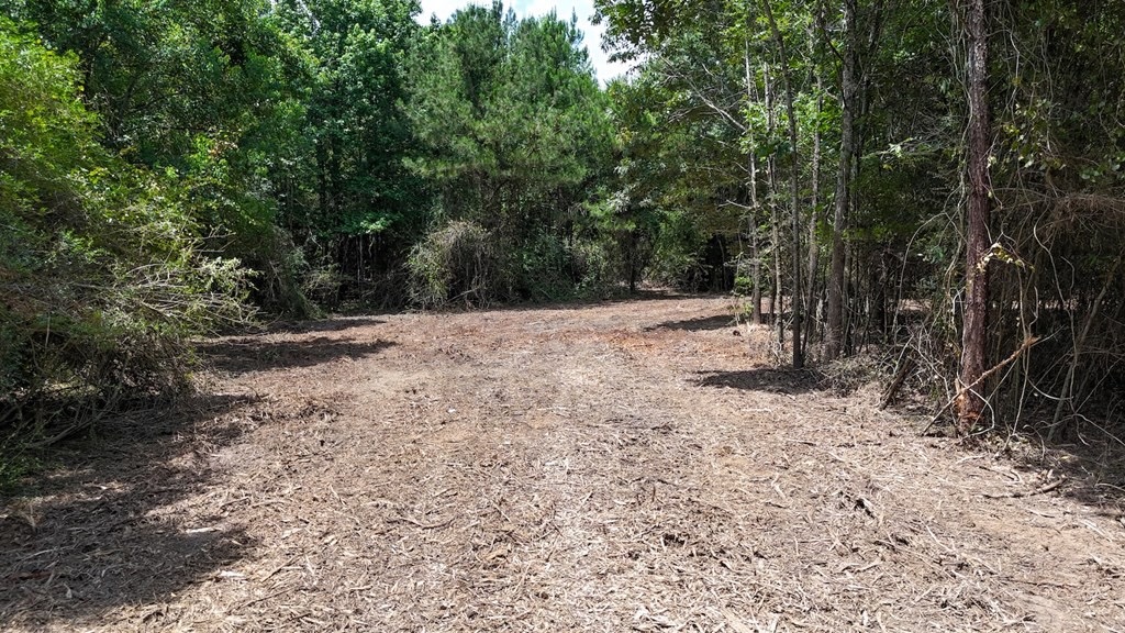 Small Hunting Tract FOR SALE in Amite County, MS