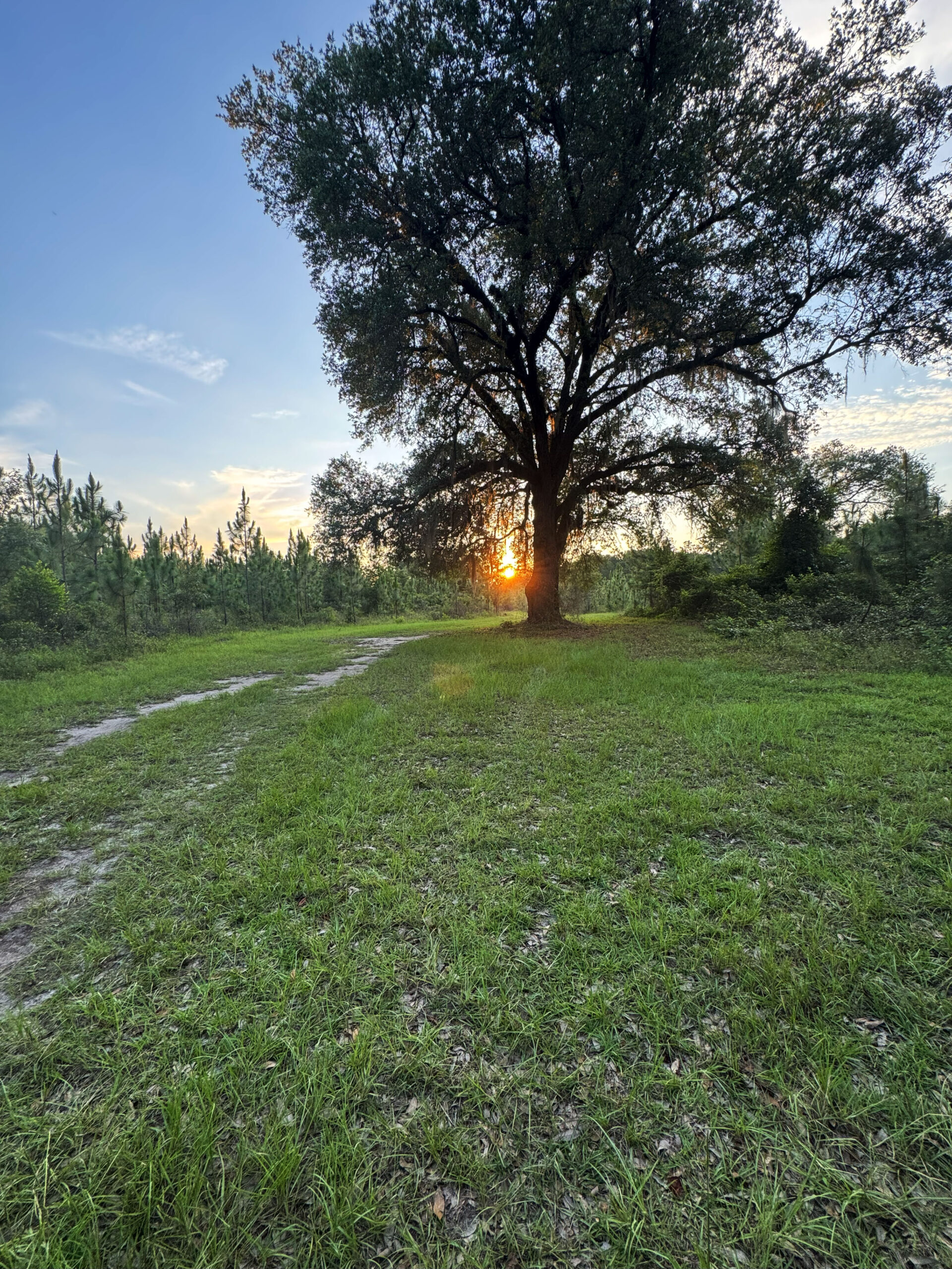 Recreational and hunting paradise located just outside Vada, GA in Decatur County