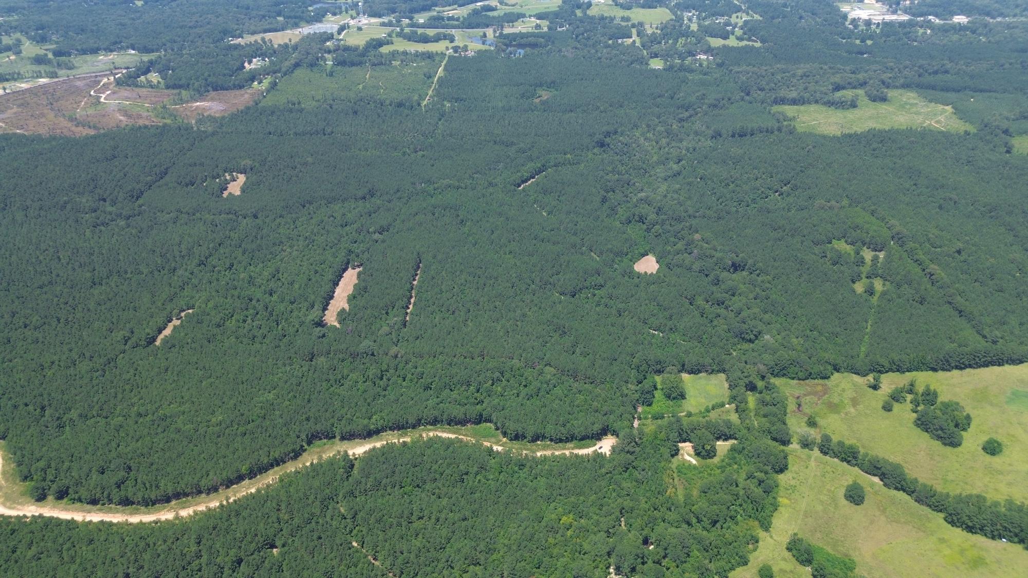 Lapine 216 Multi Use Recreational Timber – Ouachita Parish