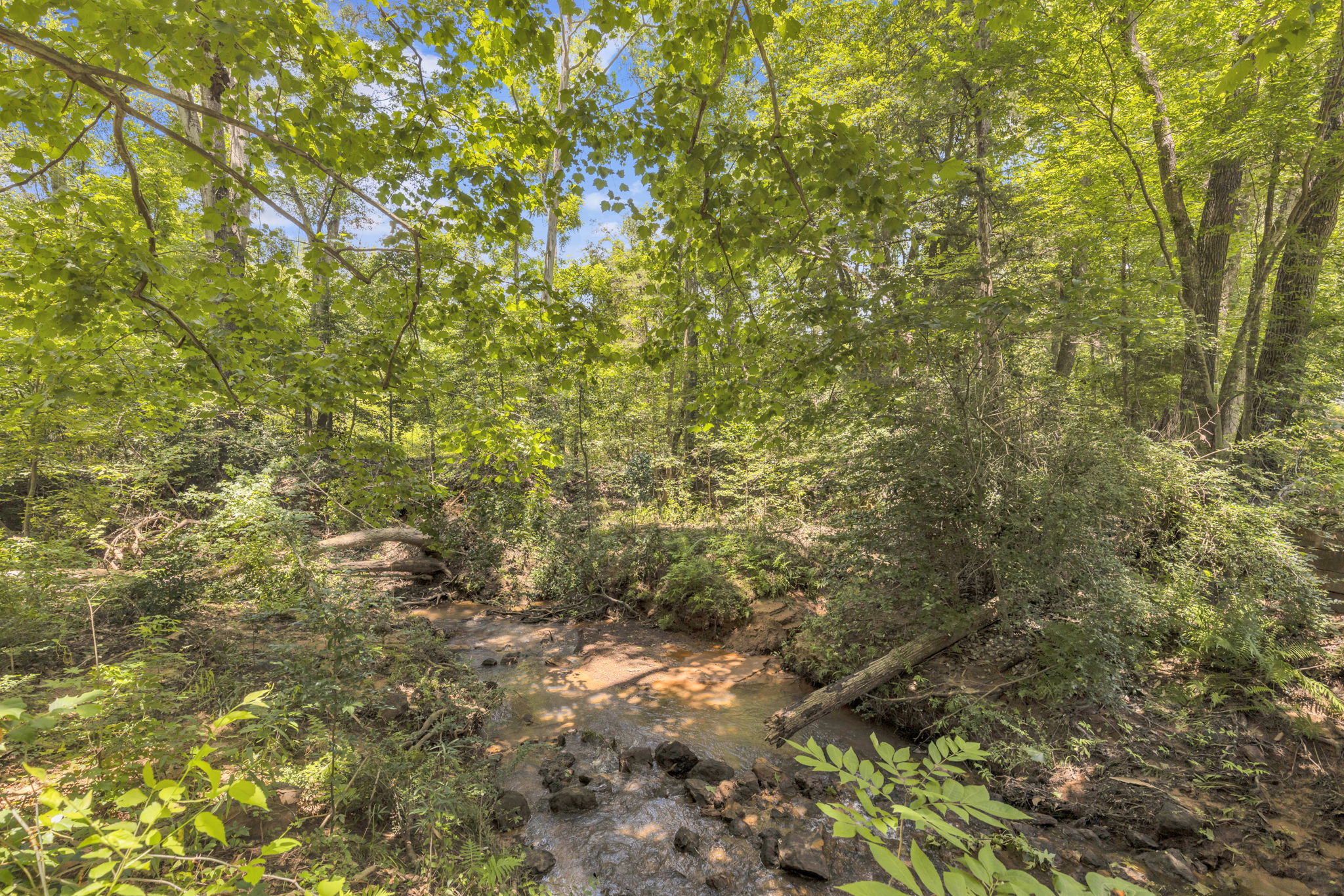 Texas Recreational Hunting Ranch for Sale East of Dallas