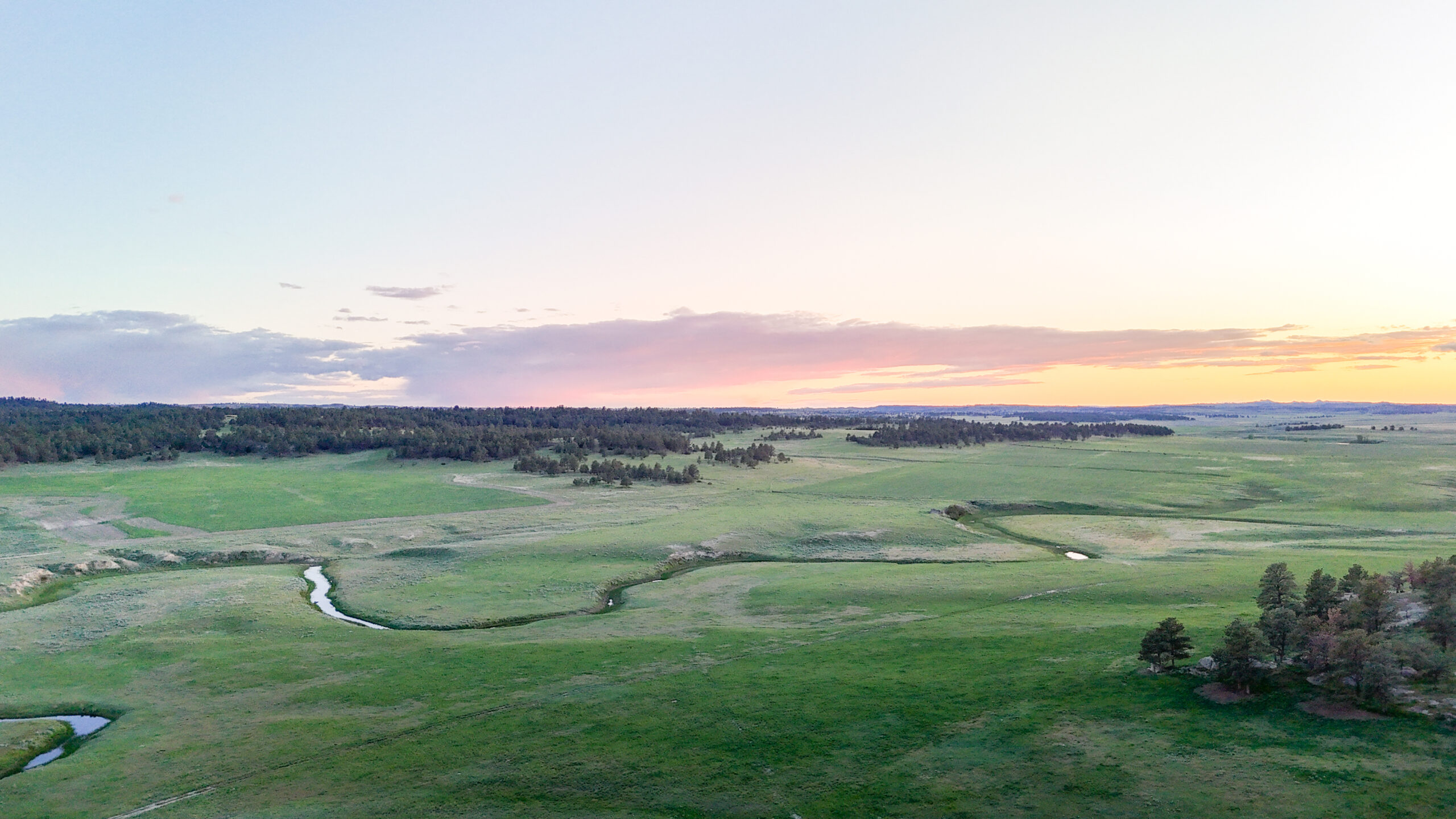 Buffalo Creek Ranch