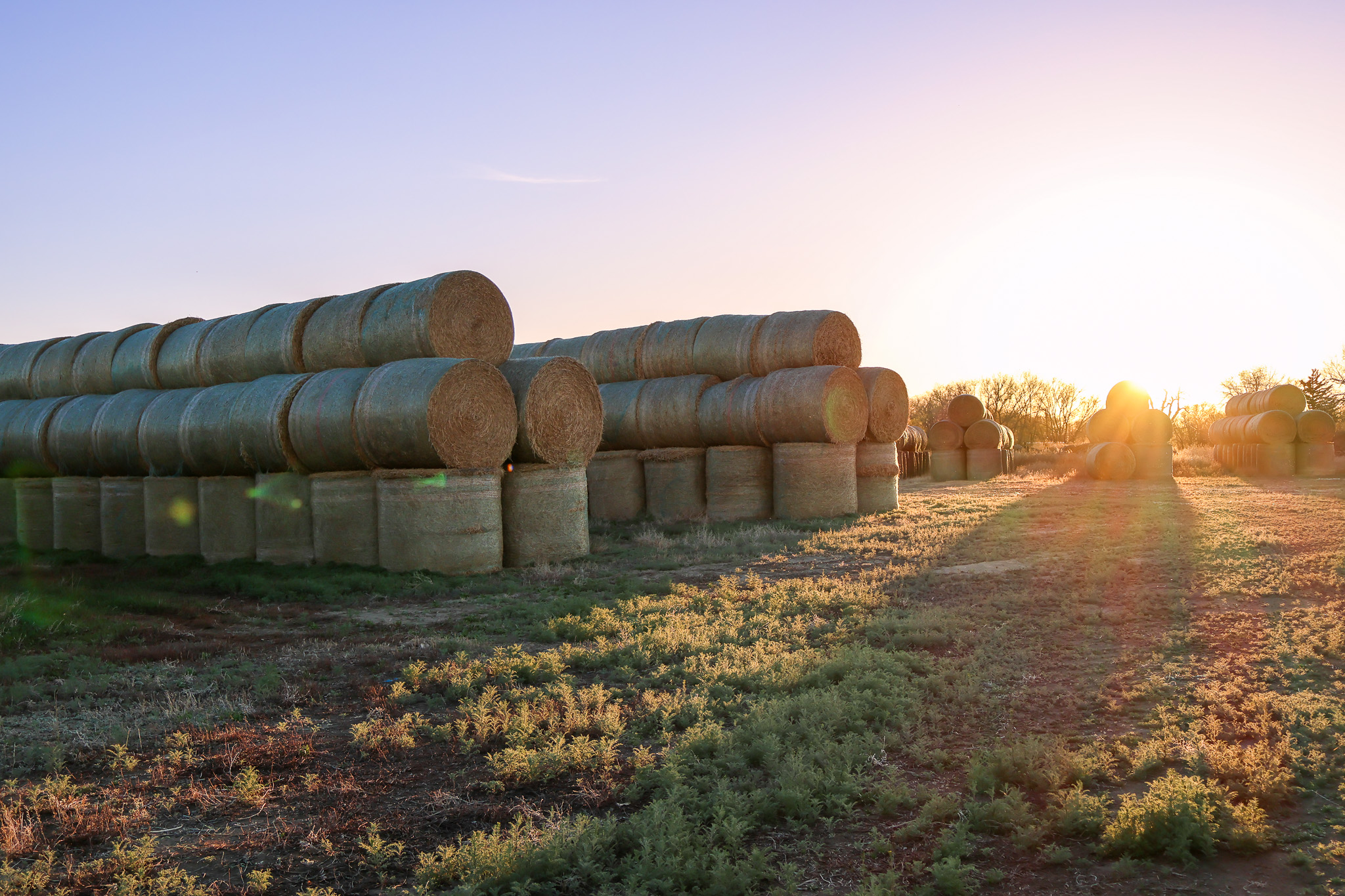 East Malta Irrigated Farm & Ranch – The Hould Property