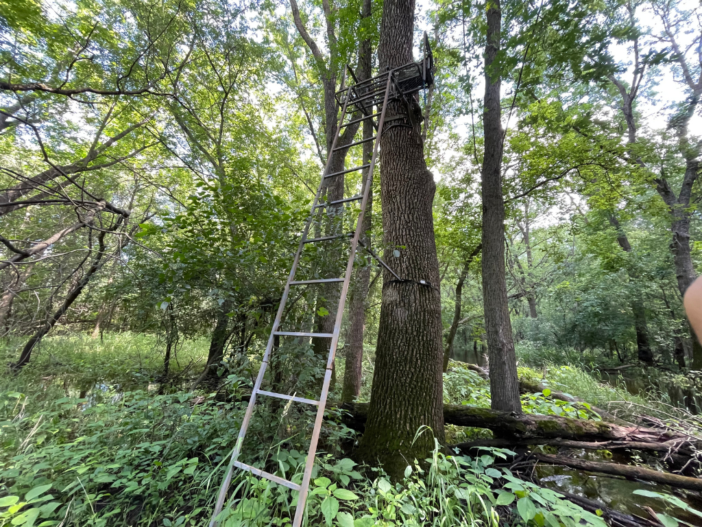 71.8-Acre Heavily Wooded Hunting Parcel with 4,500 Ft of St. Francis River Frontage