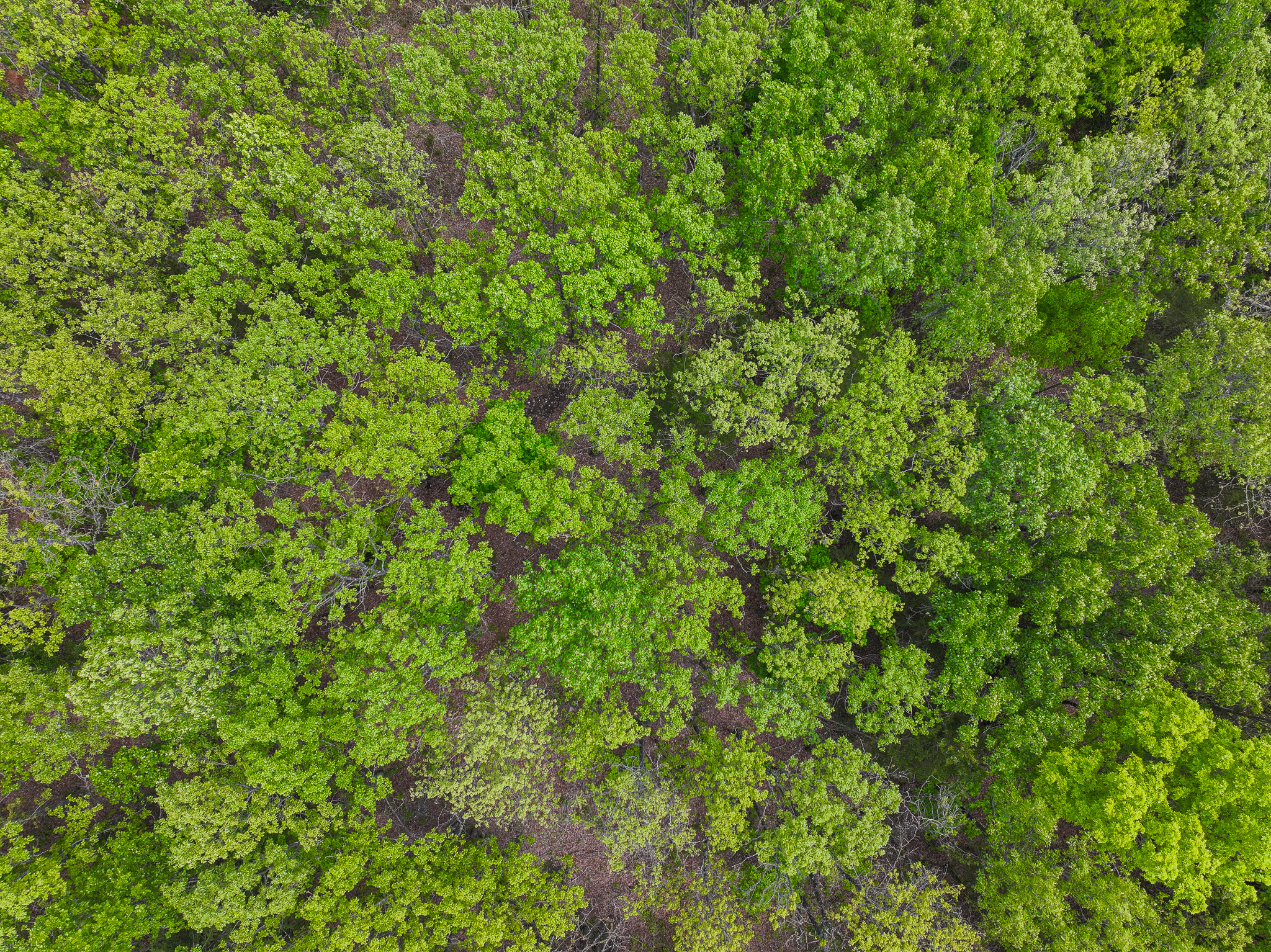 St. Clair County MO Recreational Land