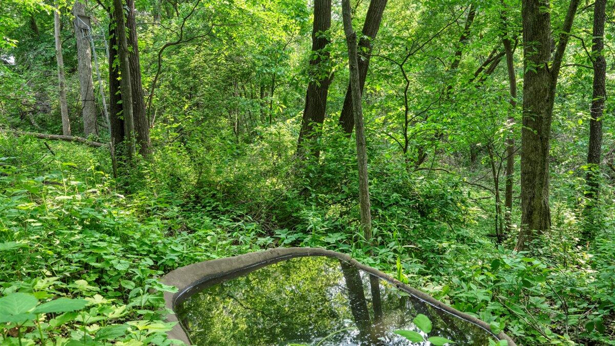 Twenty-One-Acre Hidden Gem in Vernon County WI