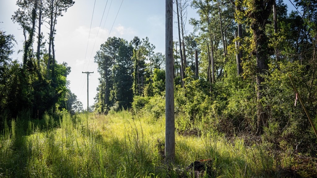 Gloster MS Hunting & Investment Land for Sale – 84 Acres