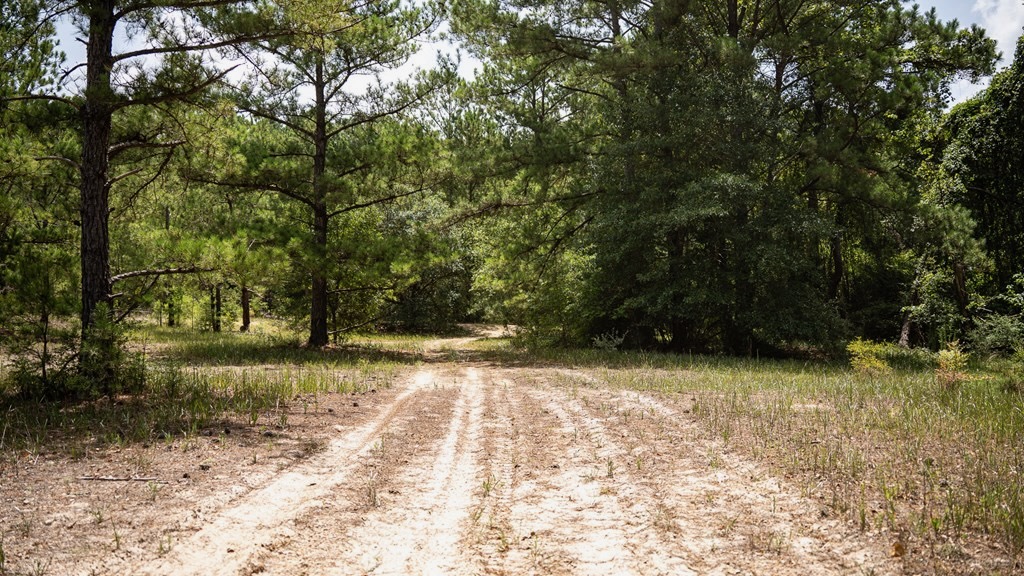 Clear Lake Land in East Feliciana Parish, Louisiana