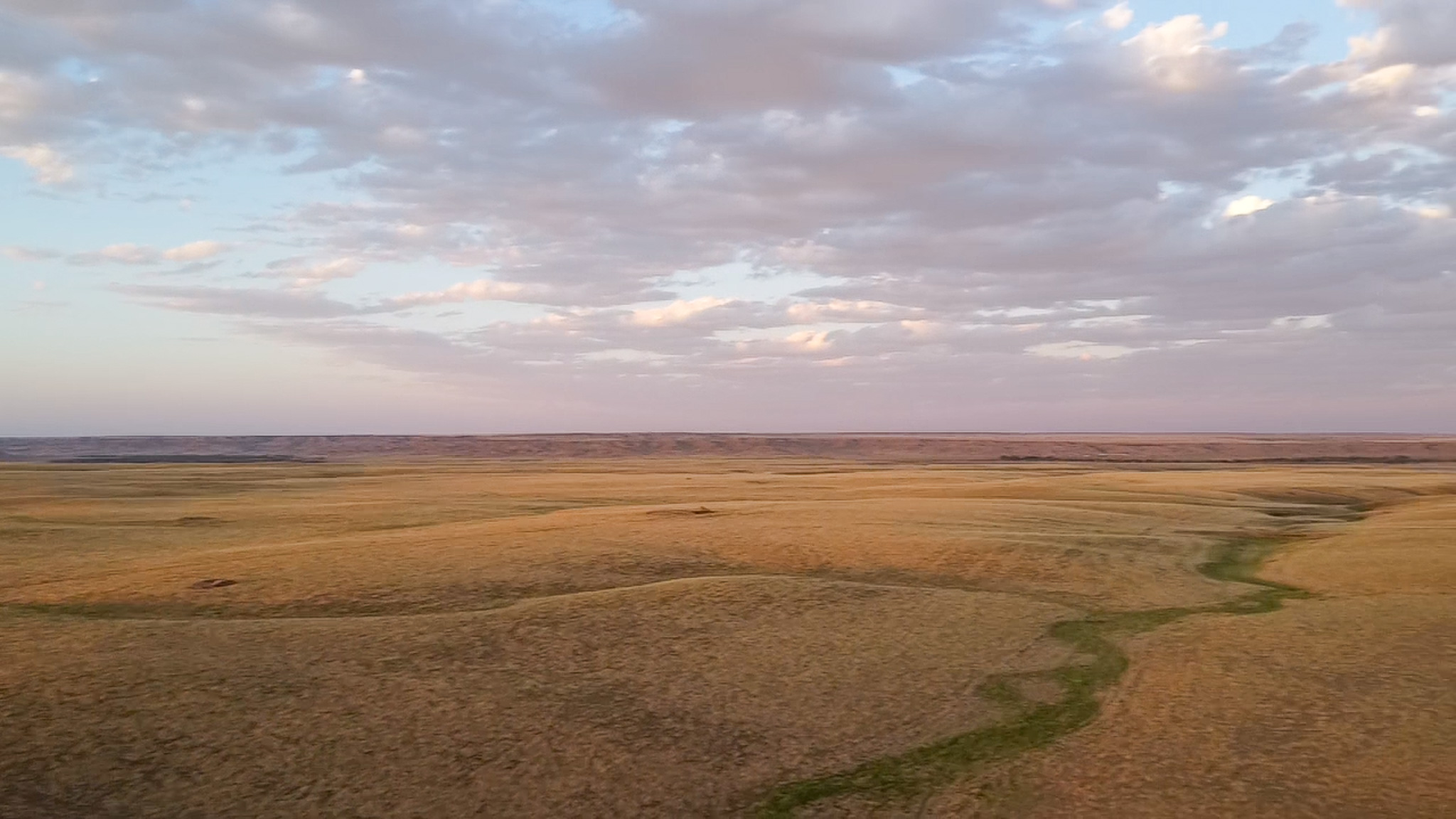 Norman Mavencamp Ranch