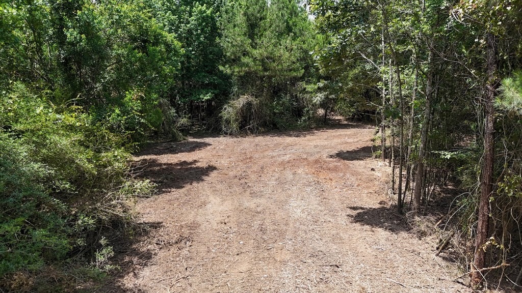 Small Hunting Tract FOR SALE in Amite County, MS