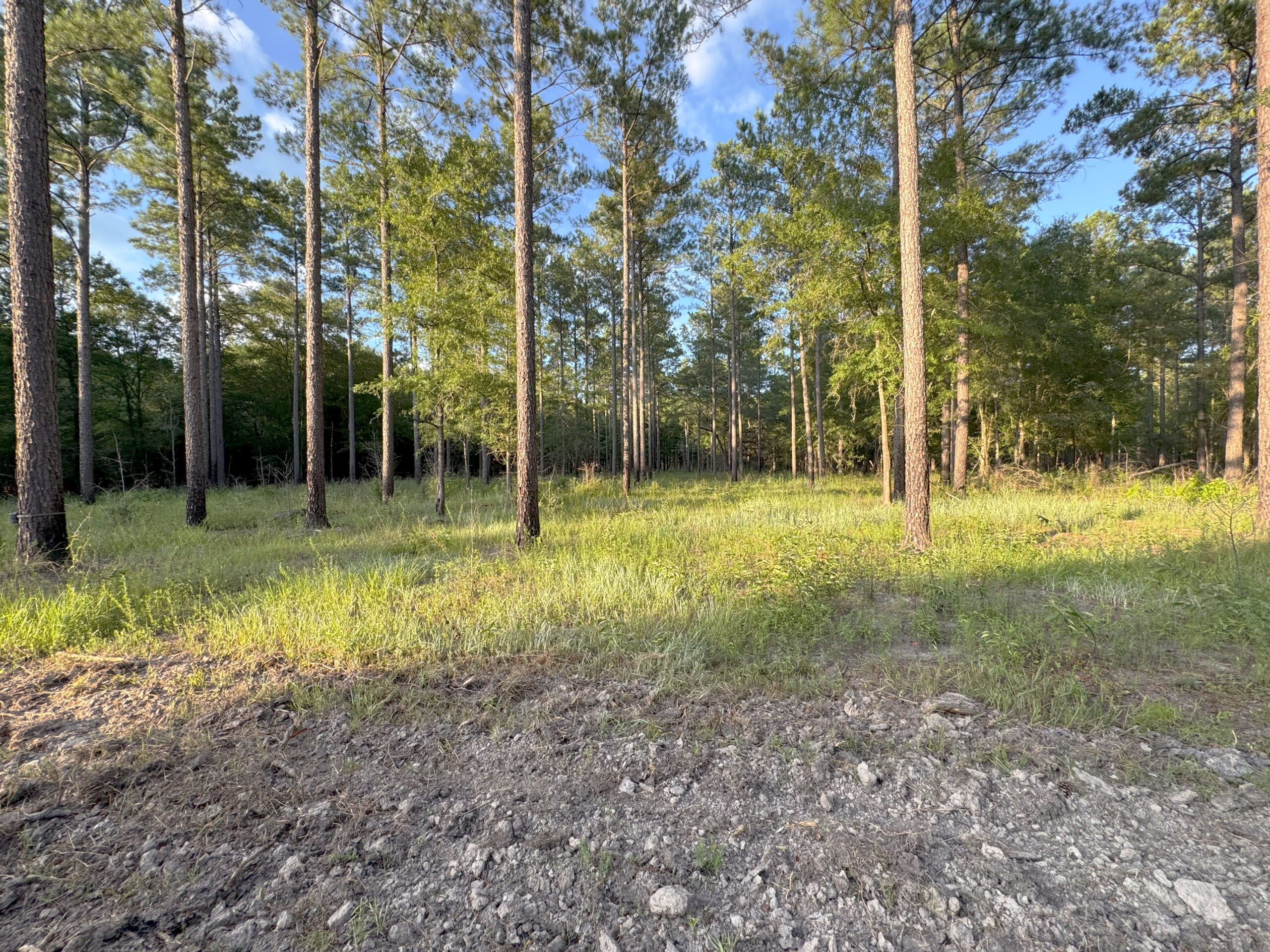 Recreational and hunting paradise located just outside Vada, GA in Decatur County