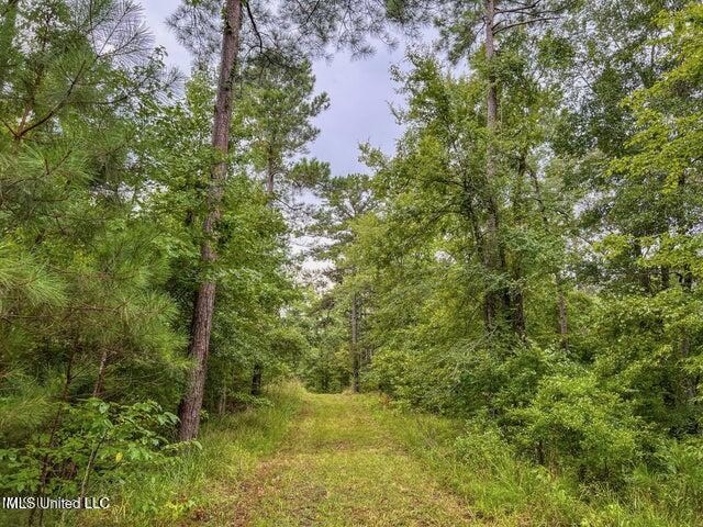 95 Acres of Prime Hunting Property in Hinds County
