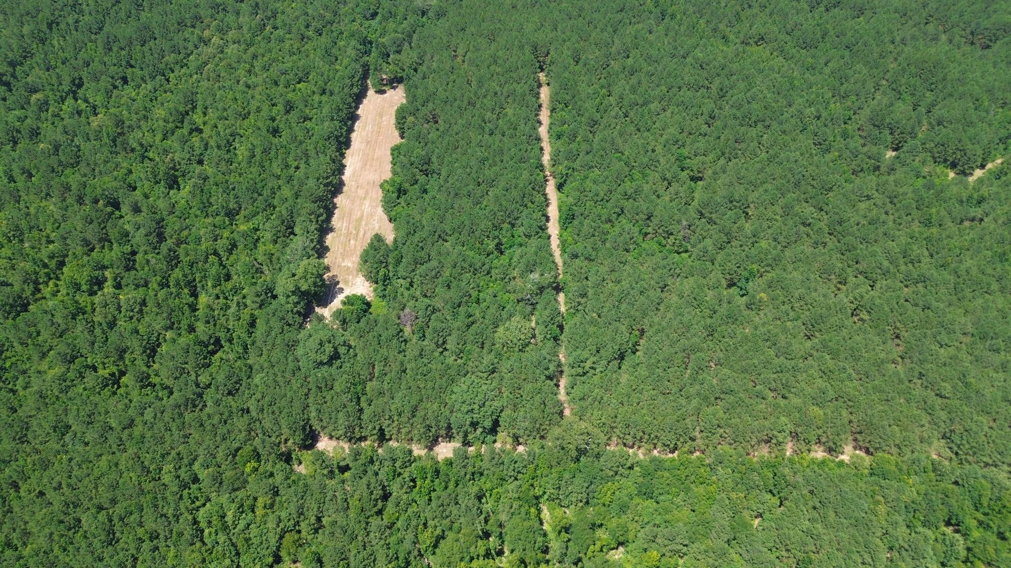 Lapine 216 Multi Use Recreational Timber – Ouachita Parish