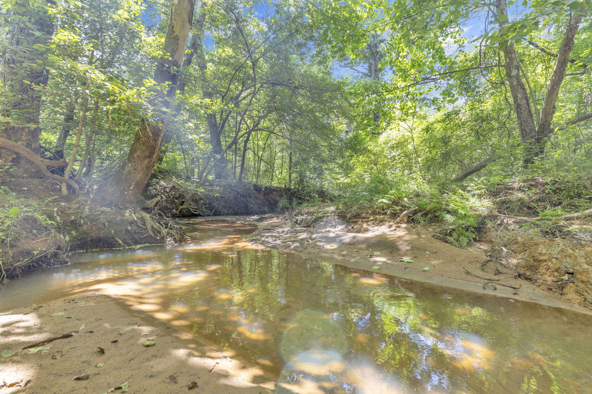 Texas Recreational Hunting Ranch for Sale East of Dallas