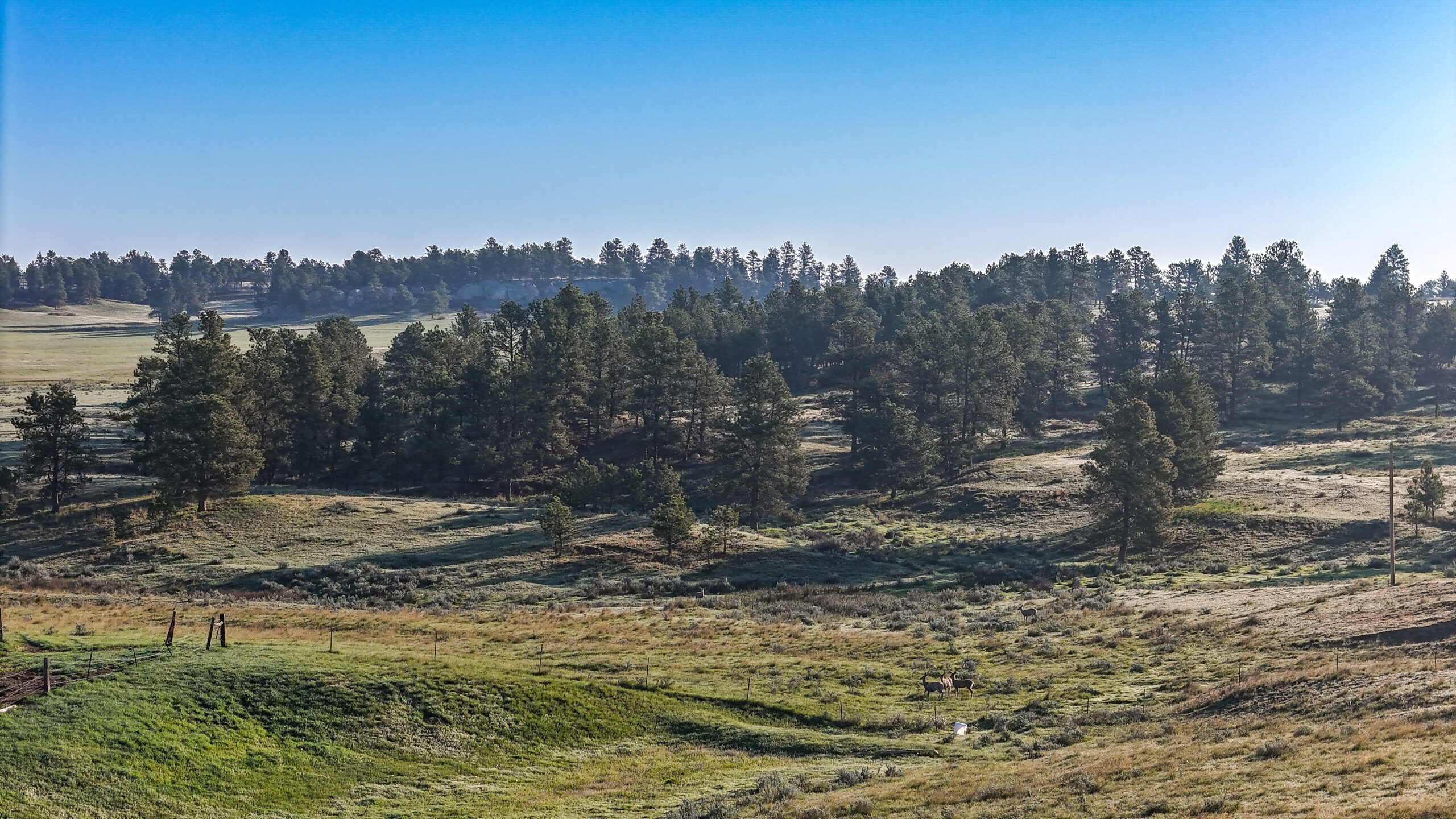 Buffalo Creek Ranch