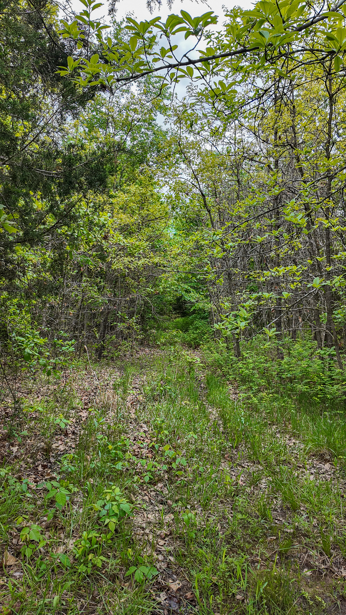 St. Clair County MO Recreational Land