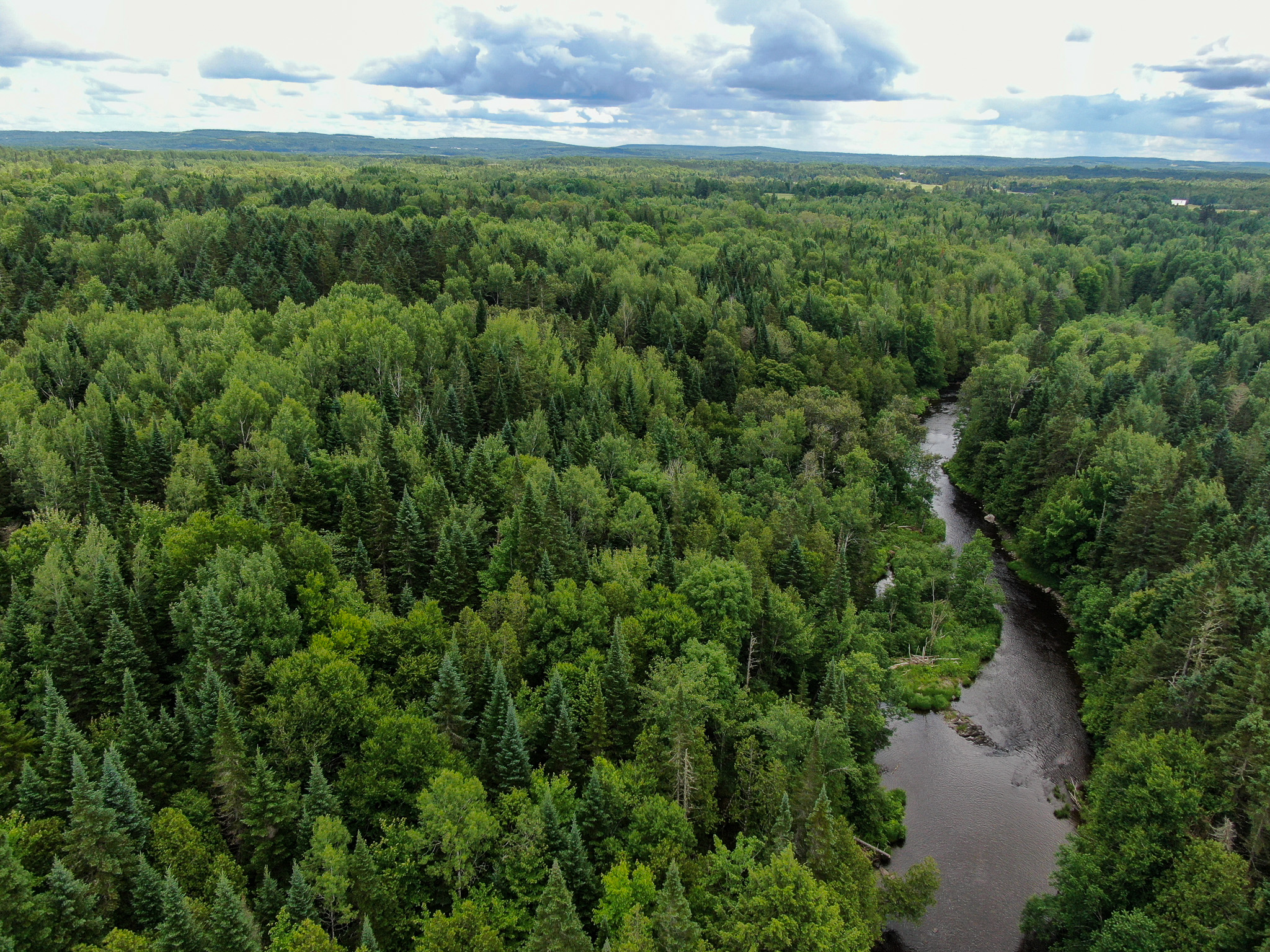 Private Cabin Retreat on 20 Acres with Stream Frontage