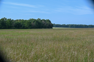 142+\- acres  For Sale El Dorado Springs MO