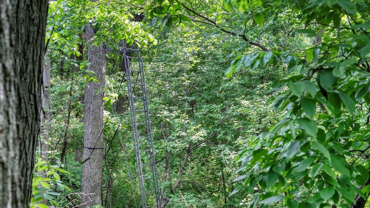 Twenty-One-Acre Hidden Gem in Vernon County WI