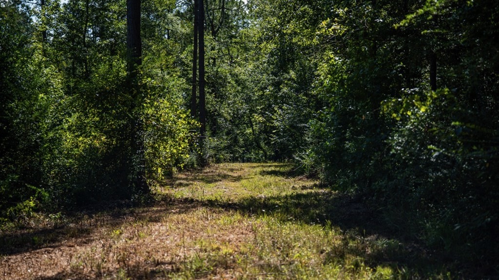 Osyka MS Hunting Land with Pond – Pike 38