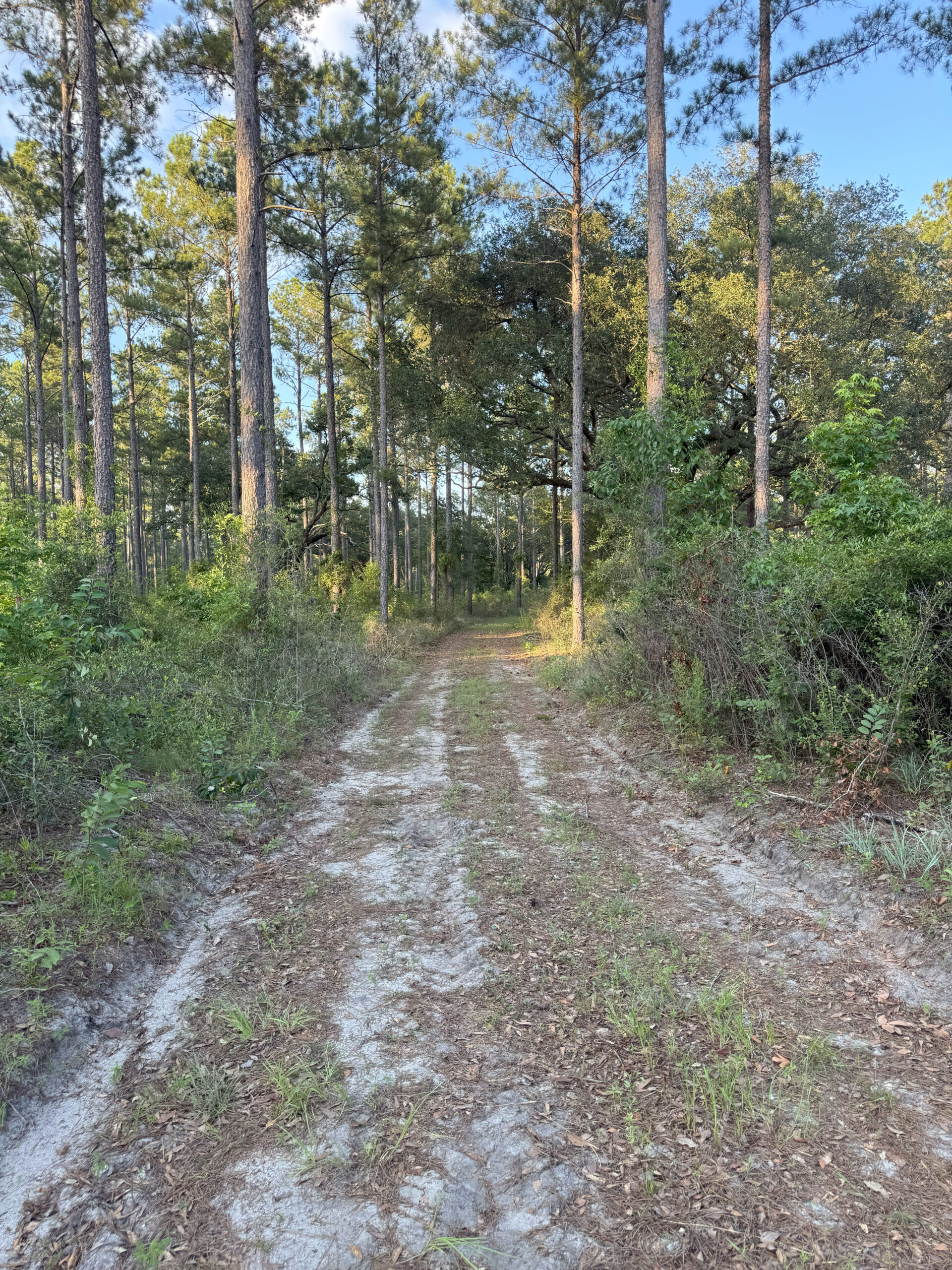 Recreational and hunting paradise located just outside Vada, GA in Decatur County