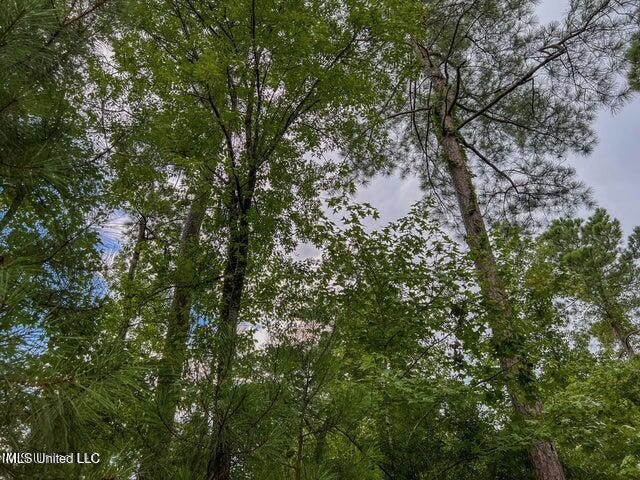 95 Acres of Prime Hunting Property in Hinds County