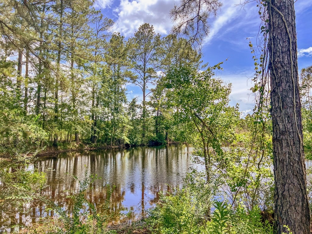 Land for Sale in Amite County, MS