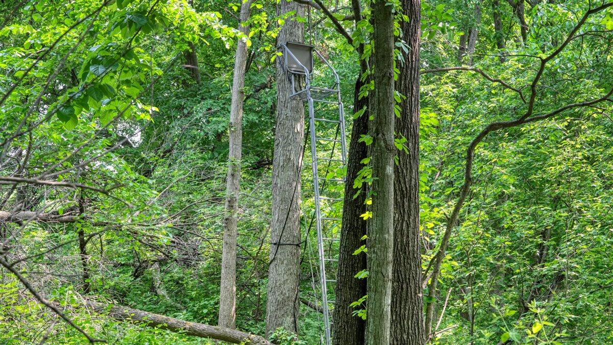 Twenty-One-Acre Hidden Gem in Vernon County WI