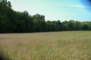 142+\- acres  For Sale El Dorado Springs MO