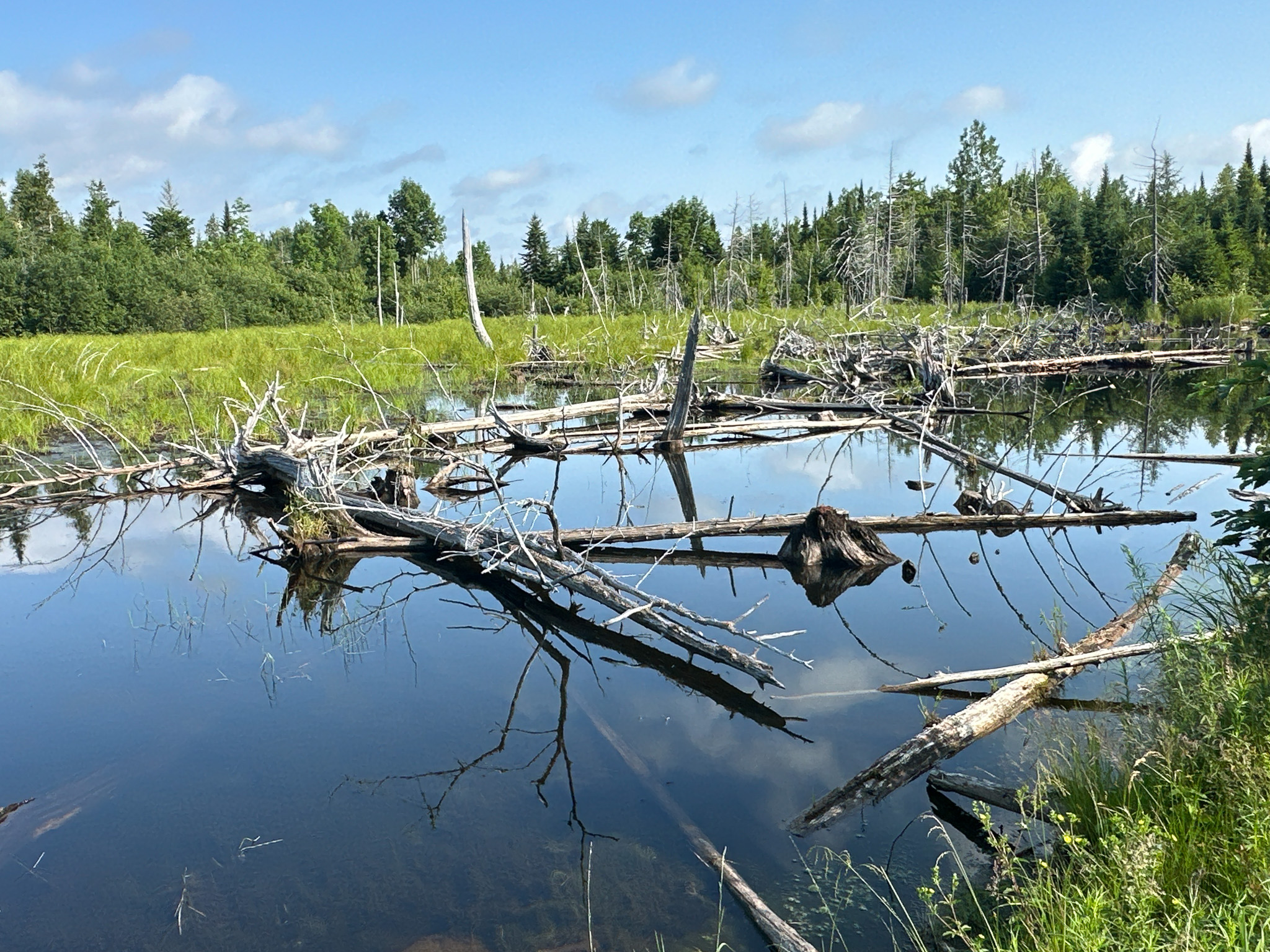 Maine Hunting and Recreational Timberland for Sale | 152± Acres in Carroll Plantation