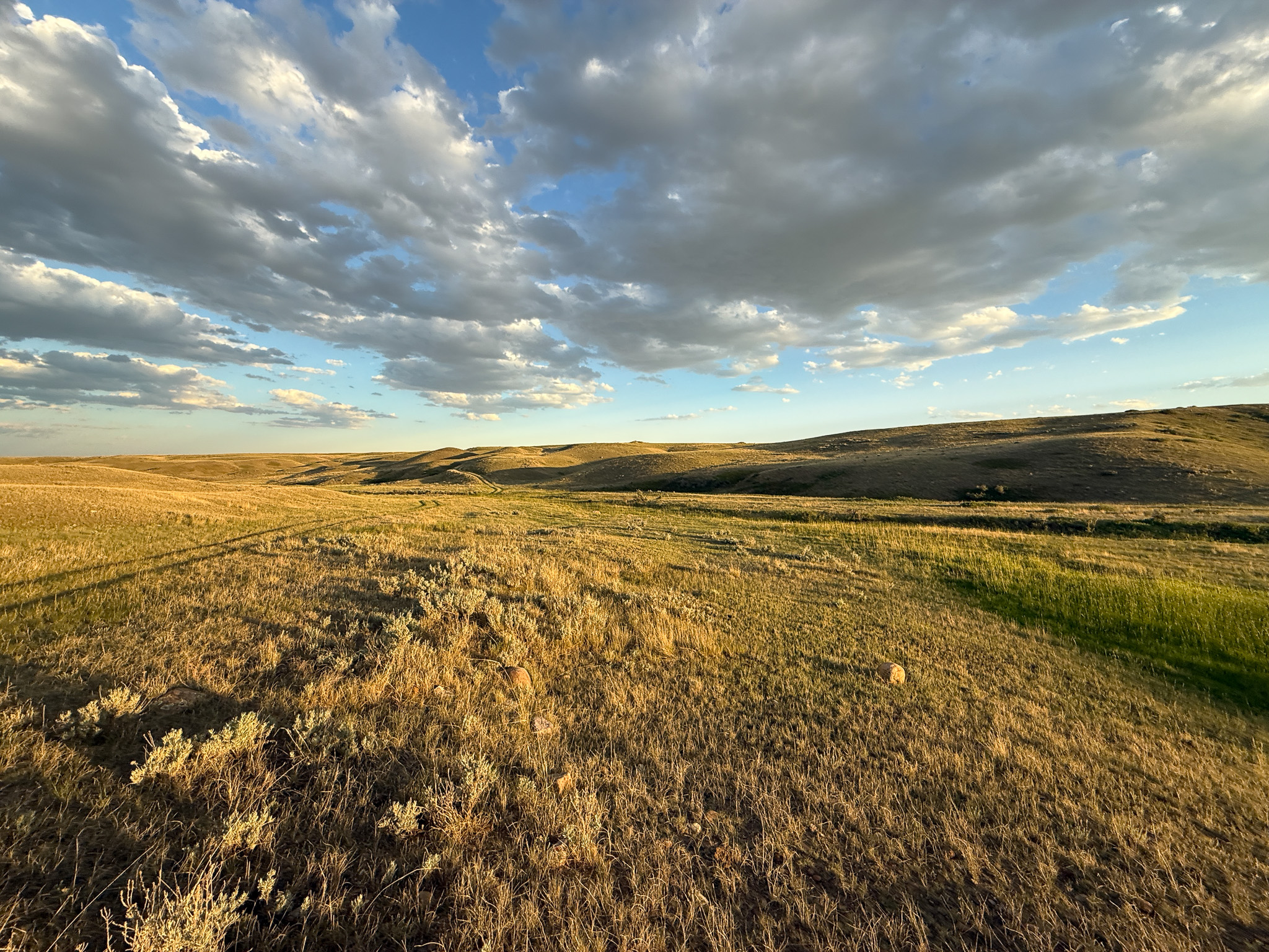 Norman Mavencamp Ranch