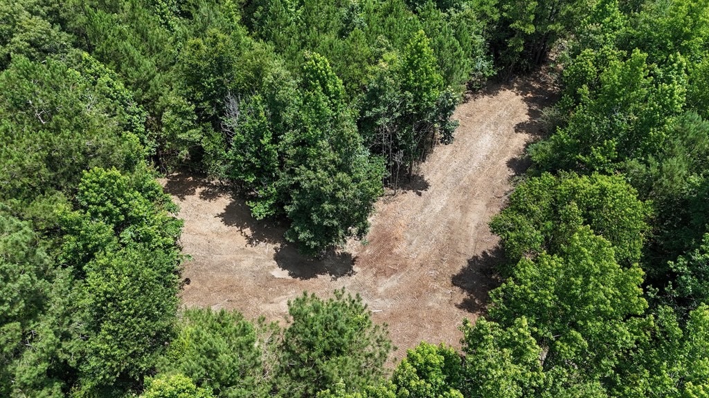 Small Hunting Tract FOR SALE in Amite County, MS