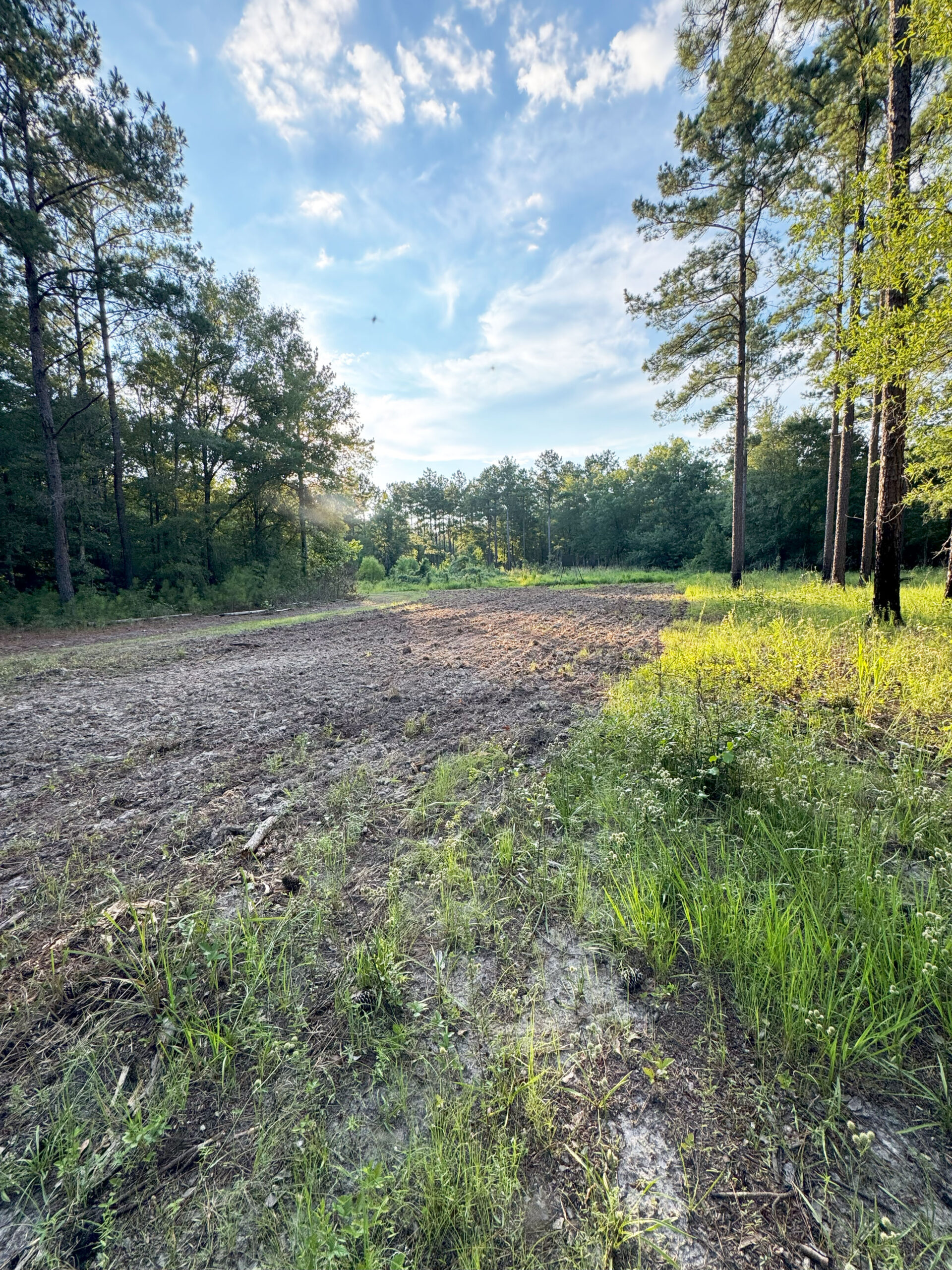 Recreational and hunting paradise located just outside Vada, GA in Decatur County