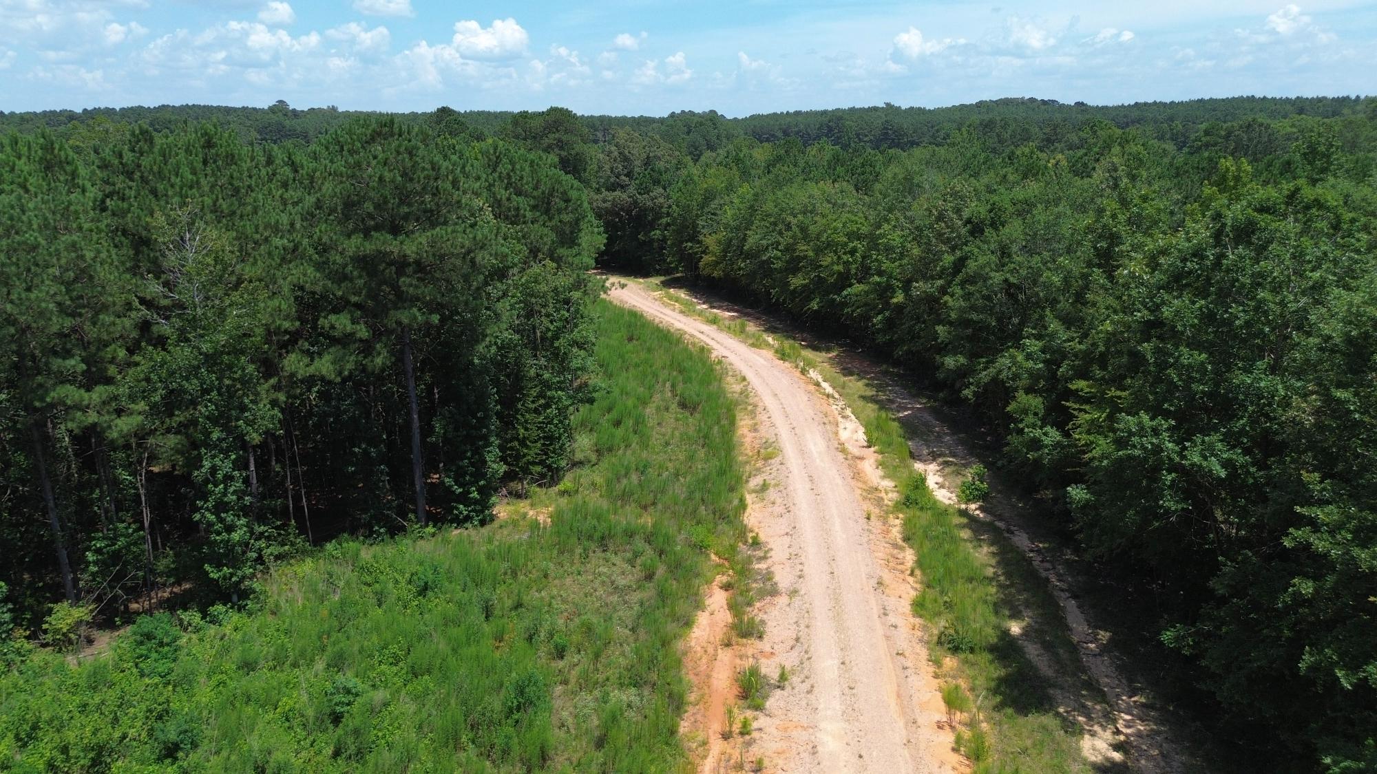 Lapine 216 Multi Use Recreational Timber – Ouachita Parish