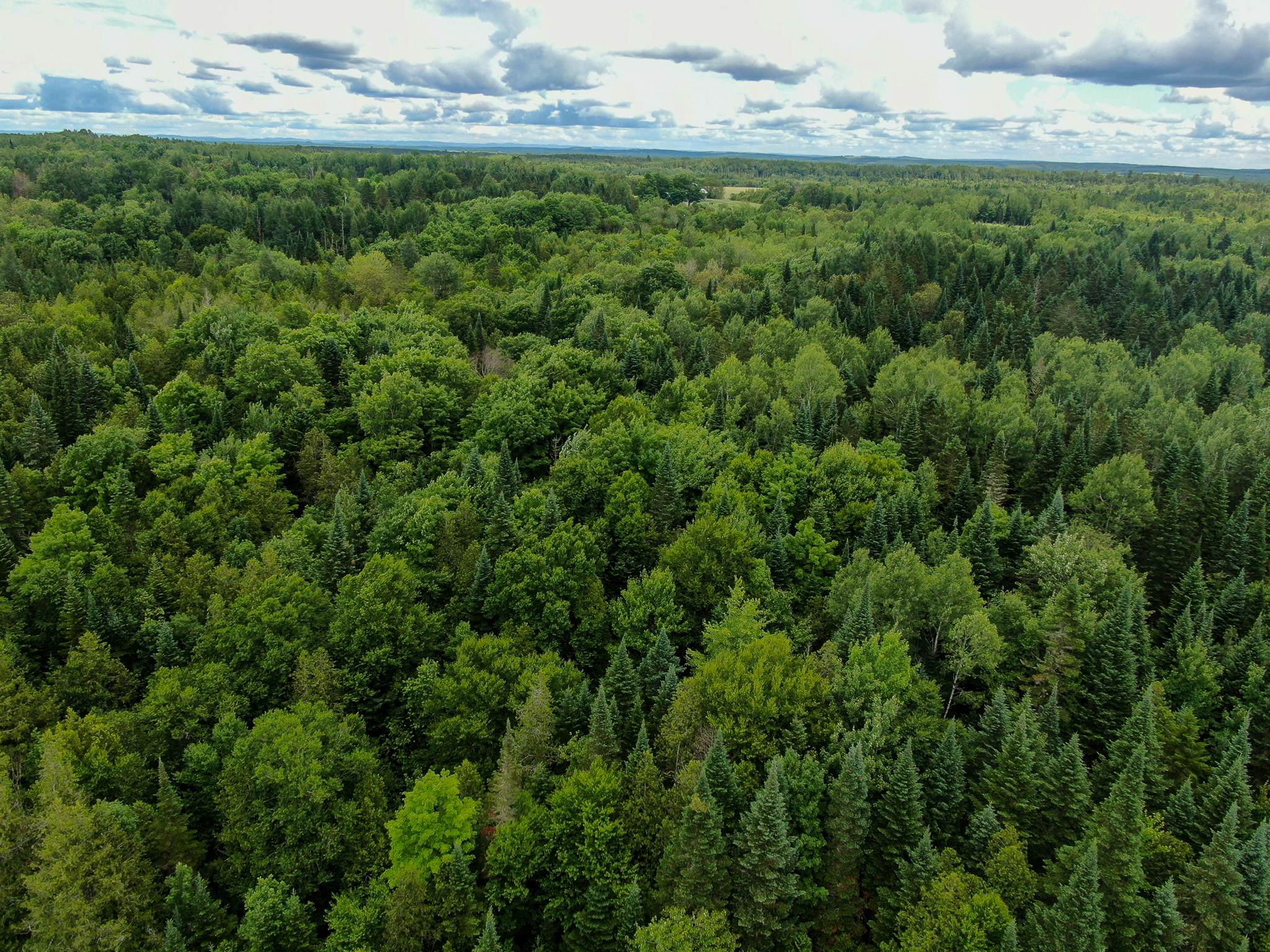 Private Cabin Retreat on 20 Acres with Stream Frontage