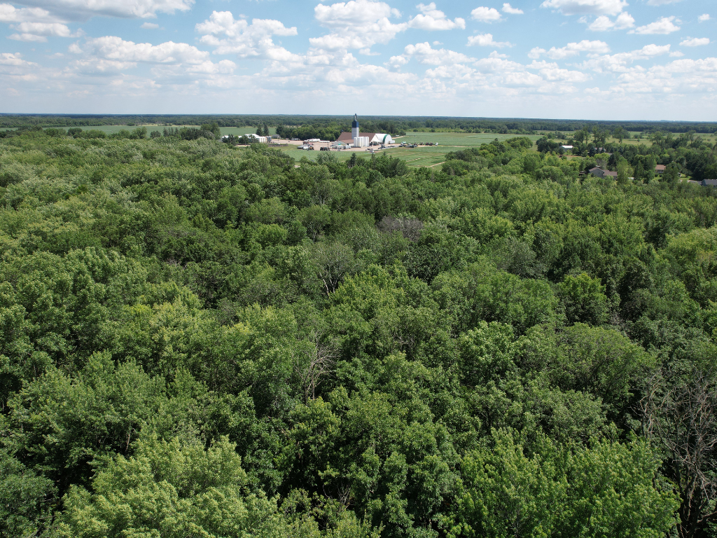 71.8-Acre Heavily Wooded Hunting Parcel with 4,500 Ft of St. Francis River Frontage