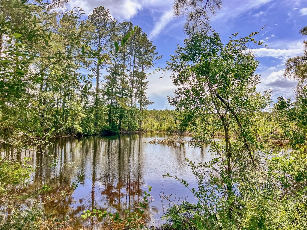 Land for Sale in Amite County, MS