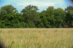 142+\- acres  For Sale El Dorado Springs MO