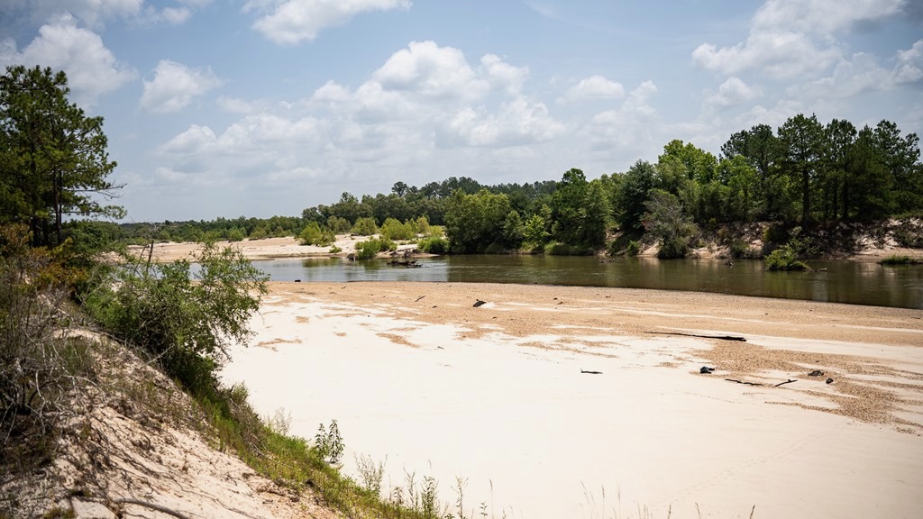 Clear Lake Land in East Feliciana Parish, Louisiana