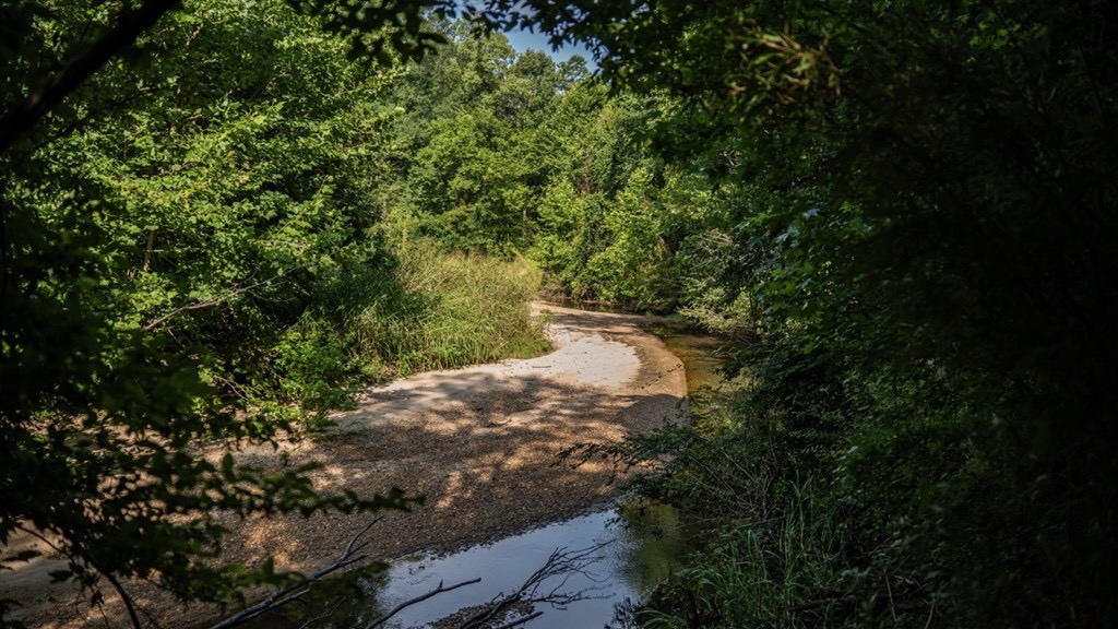 Hunting Land in Claiborne County, MS – The Reagan Tract