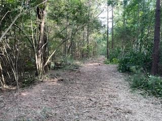 Small Hunting Tract FOR SALE in Amite County, MS