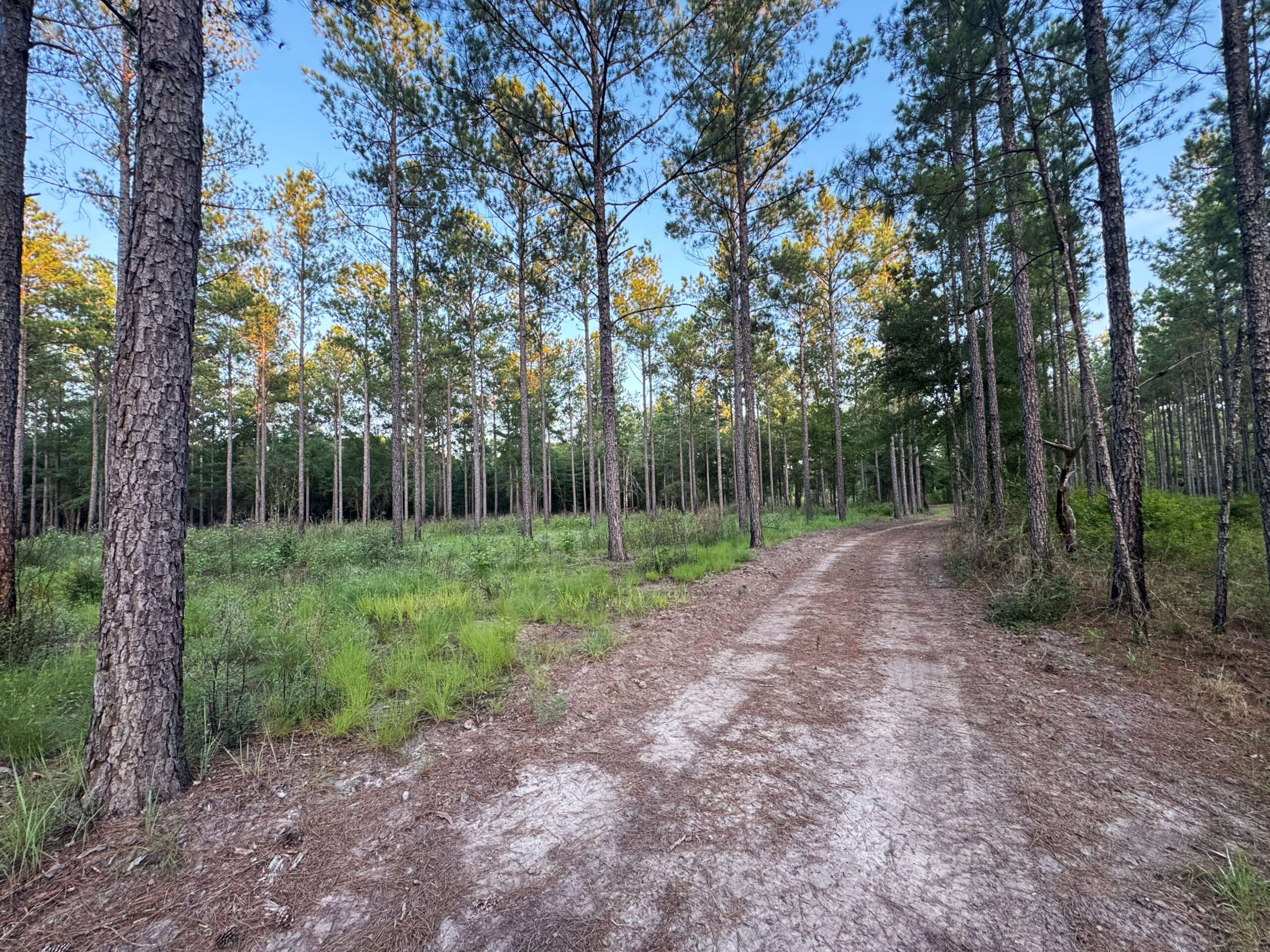 Recreational and hunting paradise located just outside Vada, GA in Decatur County