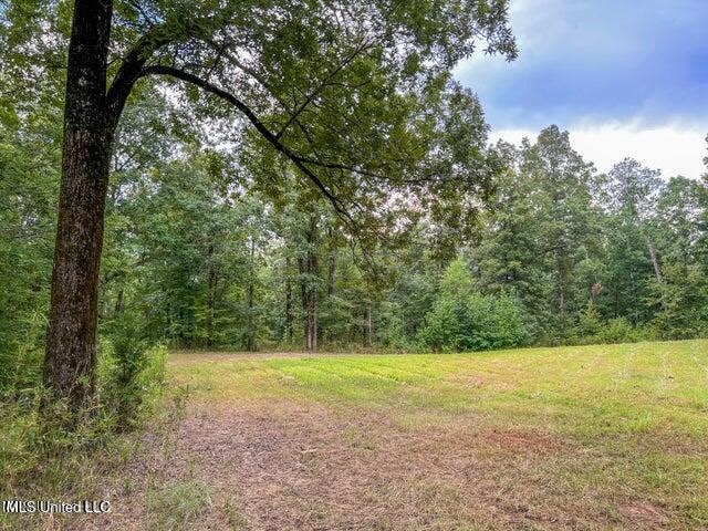 95 Acres of Prime Hunting Property in Hinds County