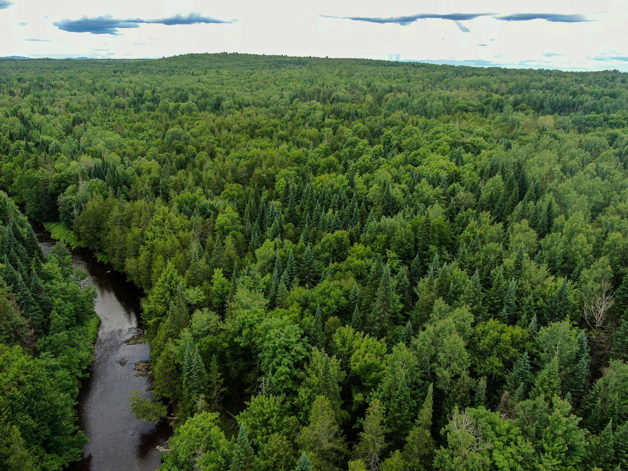 Private Cabin Retreat on 20 Acres with Stream Frontage