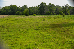142+\- acres  For Sale El Dorado Springs MO